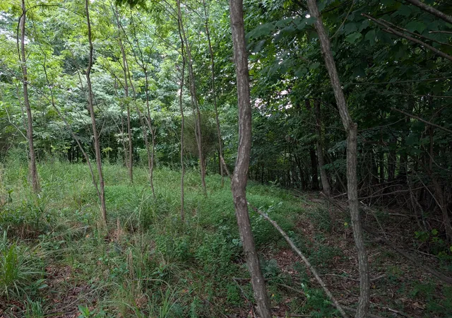 Photo 4 of Land for sale at 580 Preservation Dr, South Pittsburg, TN 37380 | MLS# 3287864 | Listing updated on 2026-08-20