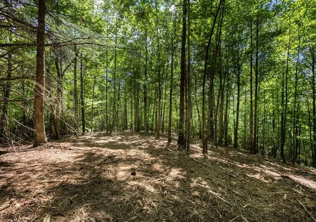 Photo 1 of Land for sale at 40 Donley Rd, Murphy, NC 28906 | MLS# 3337758 | Listing updated on 2026-08-20