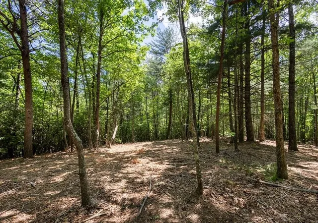 Photo 2 of Land for sale at 40 Donley Rd, Murphy, NC 28906 | MLS# 3337758 | Listing updated on 2026-08-20