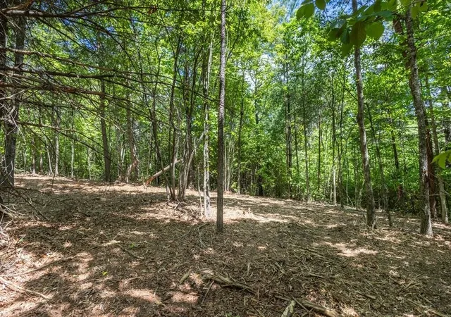Photo 3 of Land for sale at 40 Donley Rd, Murphy, NC 28906 | MLS# 3337758 | Listing updated on 2026-08-20