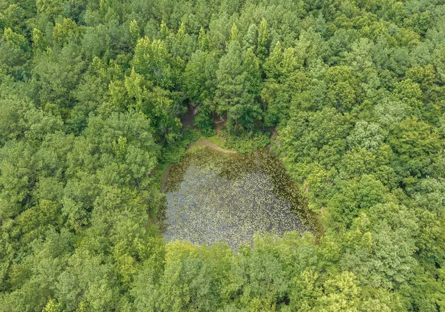 1st image of 0 Hwy 22a, Lexington, TN 38351 | MLS# 3287749