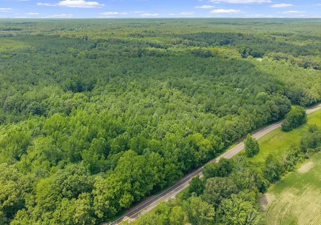 2nd image of 0 Hwy 22a, Lexington, TN 38351 | MLS# 3287749