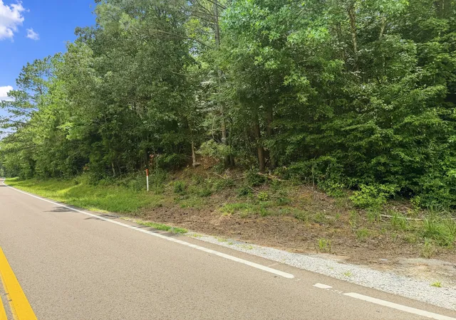 43rd image of 0 Hwy 22a, Lexington, TN 38351 | MLS# 3287749