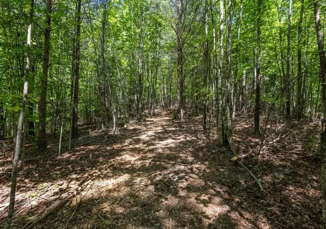 1st image of 20 Pack Mountain Road, Murphy, NC 28906 | MLS# 3337831