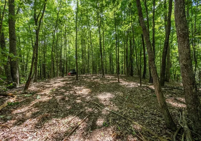 20th image of 20 Pack Mountain Road, Murphy, NC 28906 | MLS# 3337831