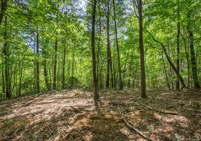 2nd image of 20 Pack Mountain Road, Murphy, NC 28906 | MLS# 3337831