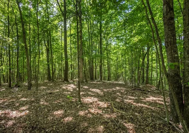 Photo 3 of Land for sale at 20 Pack Mountain Rd, Murphy, NC 28906 | MLS# 3337831 | Listing updated on 2026-08-20