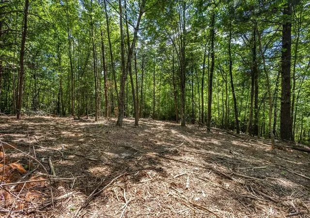 Photo 4 of Land for sale at 20 Pack Mountain Rd, Murphy, NC 28906 | MLS# 3337831 | Listing updated on 2026-08-20