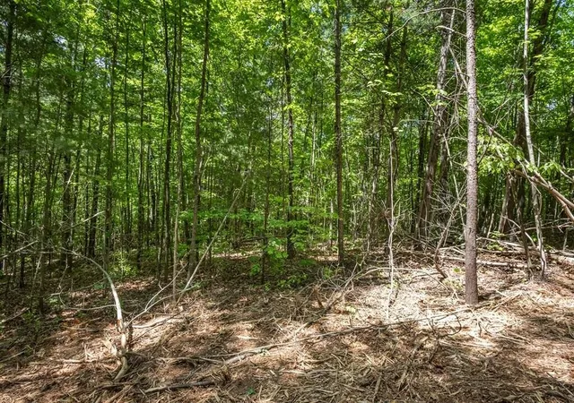 Photo 5 of Land for sale at 20 Pack Mountain Rd, Murphy, NC 28906 | MLS# 3337831 | Listing updated on 2026-08-20
