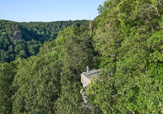 5th image of 354 Little Trees Ramble, Monteagle, TN 37356 | MLS# 3319204