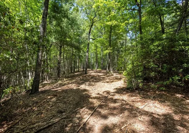 Photo 1 of Land for sale at 43 Donley Rd, Murphy, NC 28906 | MLS# 3336914 | Listing updated on 2026-08-24