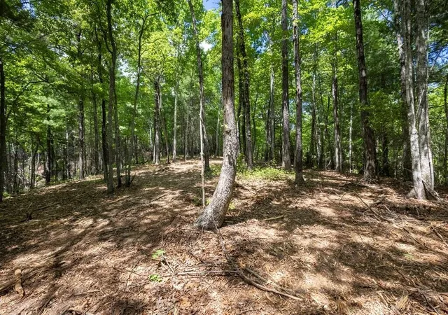 Photo 2 of Land for sale at 43 Donley Rd, Murphy, NC 28906 | MLS# 3336914 | Listing updated on 2026-08-24