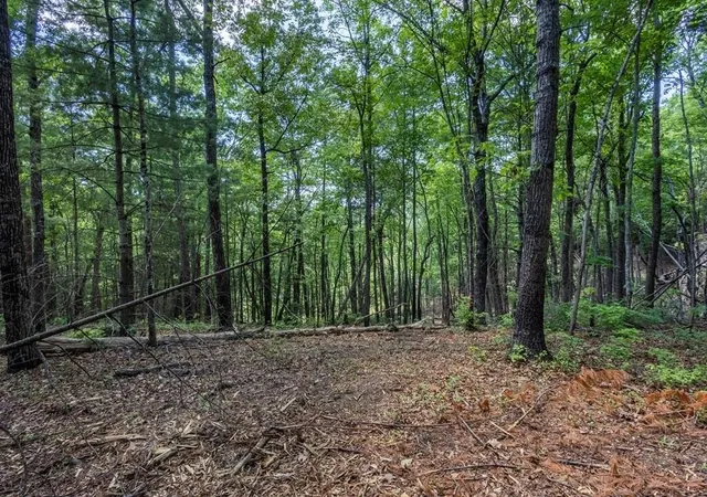 Photo 3 of Land for sale at 43 Donley Rd, Murphy, NC 28906 | MLS# 3336914 | Listing updated on 2026-08-24