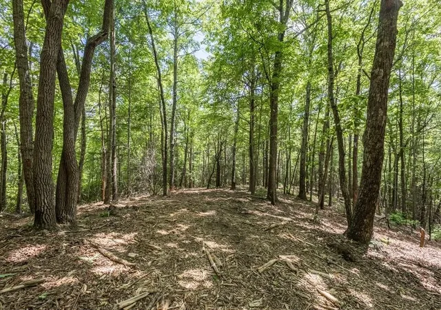 Photo 4 of Land for sale at 43 Donley Rd, Murphy, NC 28906 | MLS# 3336914 | Listing updated on 2026-08-24