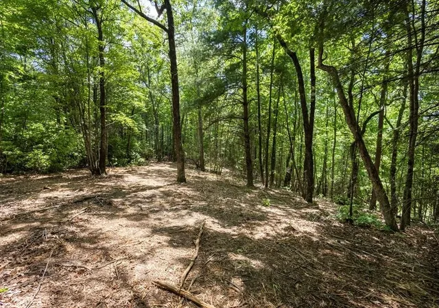 Photo 5 of Land for sale at 43 Donley Rd, Murphy, NC 28906 | MLS# 3336914 | Listing updated on 2026-08-24