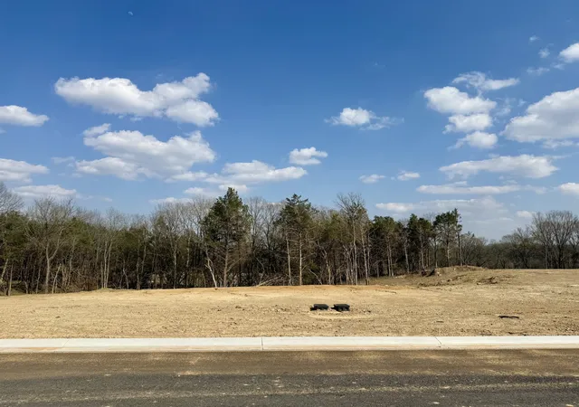 2nd image of 511 St Charles Dr, Arrington, TN 37014 | MLS# 3287796