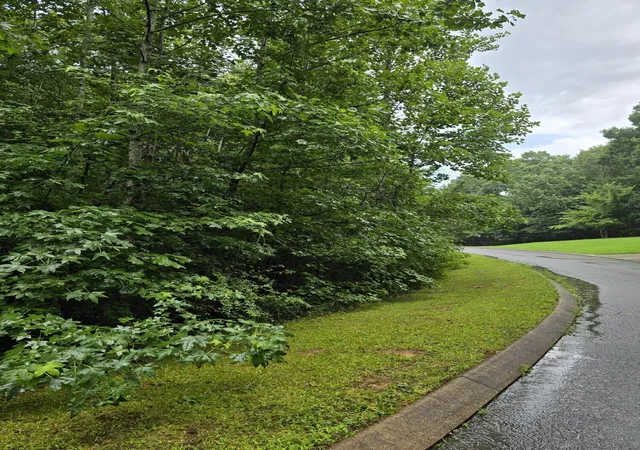 2nd image of 0 Big Cedar Dr, Dunlap, TN 37327 | MLS# 3287867