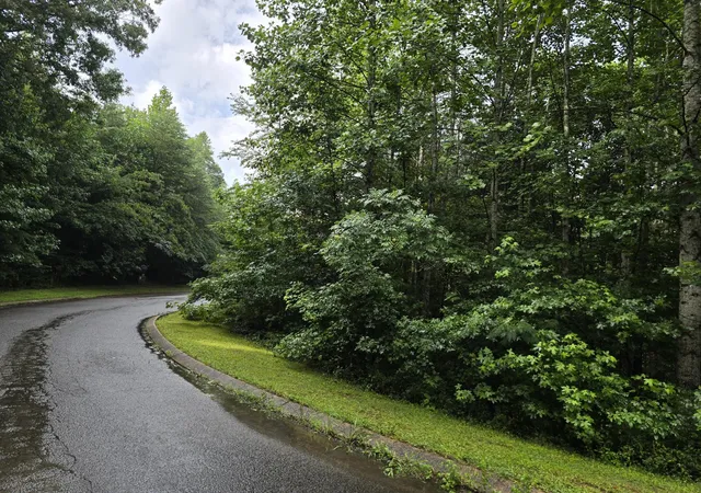 4th image of 0 Big Cedar Dr, Dunlap, TN 37327 | MLS# 3287867