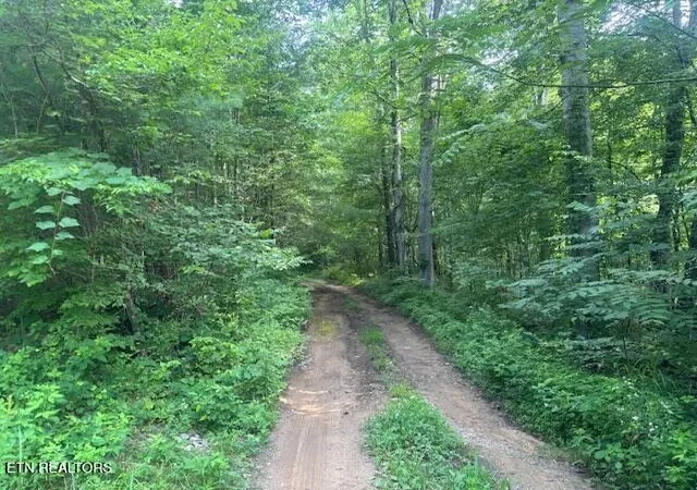 Photo 3 of Land for sale at 171 Kirkland Dr, Crossville, TN 38555 | MLS# 3287883 | Listing updated on 2026-08-20