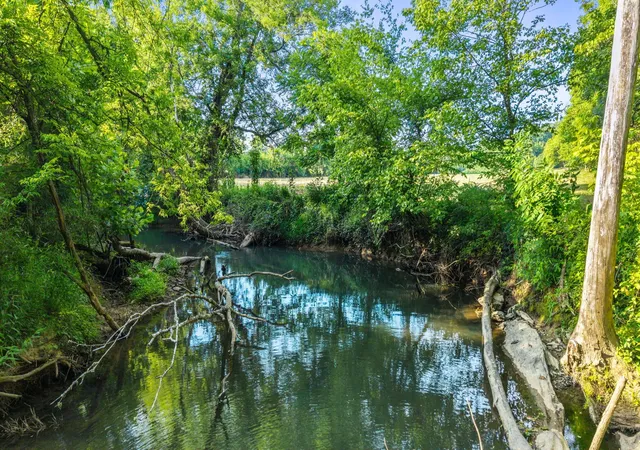 5th image of 259 County Road 60, Athens, TN 37303 | MLS# 3338510