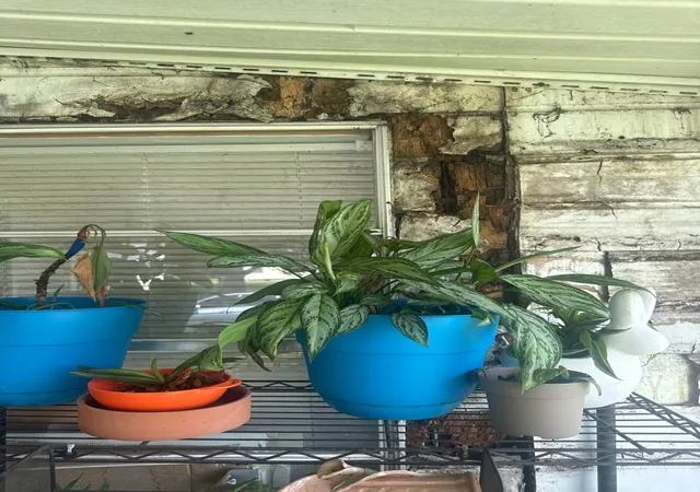 5th image of 124 E 2Nd St, Jasper, TN 37347 | MLS# 3287911
