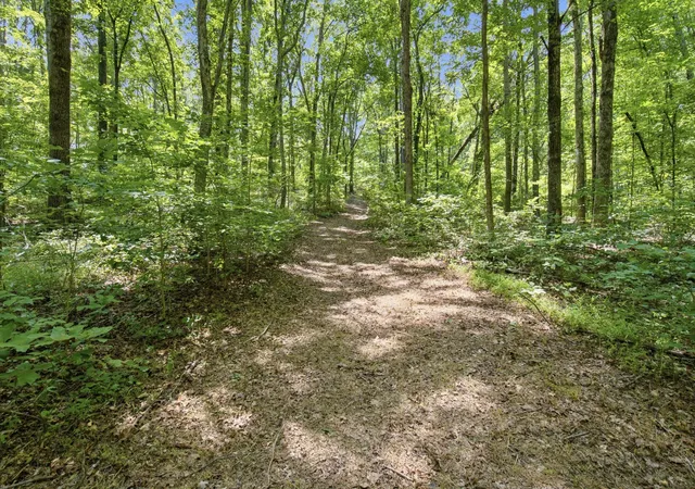 2nd image of 0 Indian Trail Circle, Nunnelly, TN 37137 | MLS# 3305213
