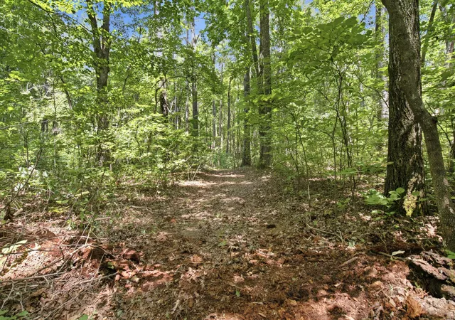 4th image of 0 Indian Trail Circle, Nunnelly, TN 37137 | MLS# 3305213