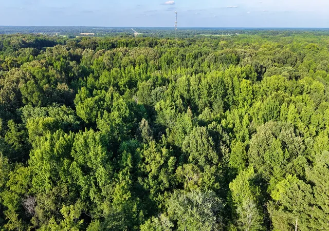 3rd image of 0 E Larry Anderson Ln, Arlington, TN 38002 | MLS# 3302329