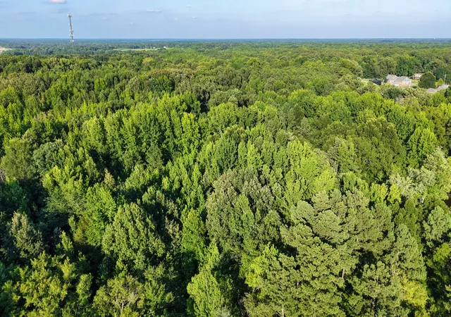 4th image of 0 E Larry Anderson Ln, Arlington, TN 38002 | MLS# 3302329