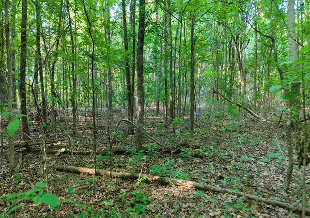 50th image of 0 E Larry Anderson Ln, Arlington, TN 38002 | MLS# 3302329