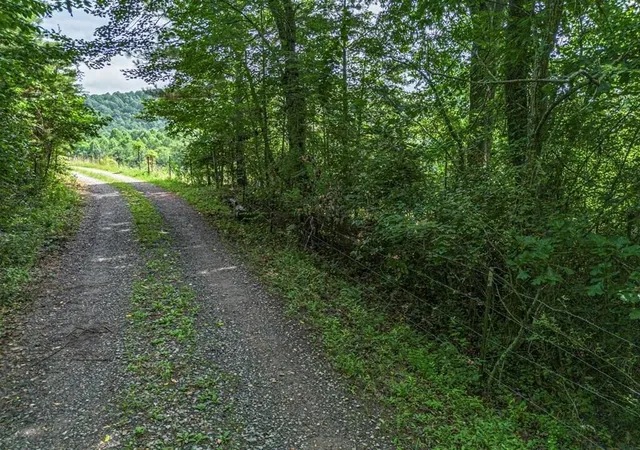 3rd image of 541 Pleasant Hill Road, Copperhill, TN 37317 | MLS# 3336637