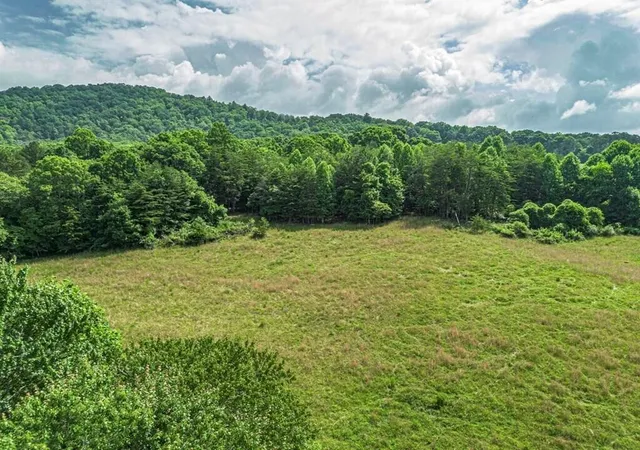 4th image of 541 Pleasant Hill Road, Copperhill, TN 37317 | MLS# 3336637