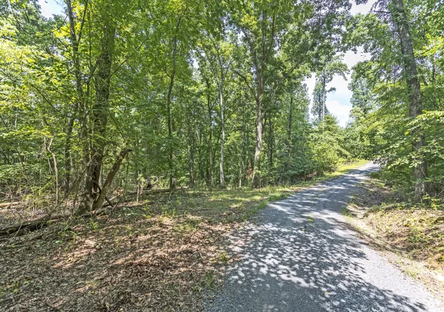 Photo 4 of Land for sale at 0 Half Moon Cir, Spring City, TN 37381 | MLS# 3288115 | Listing updated on 2026-08-20