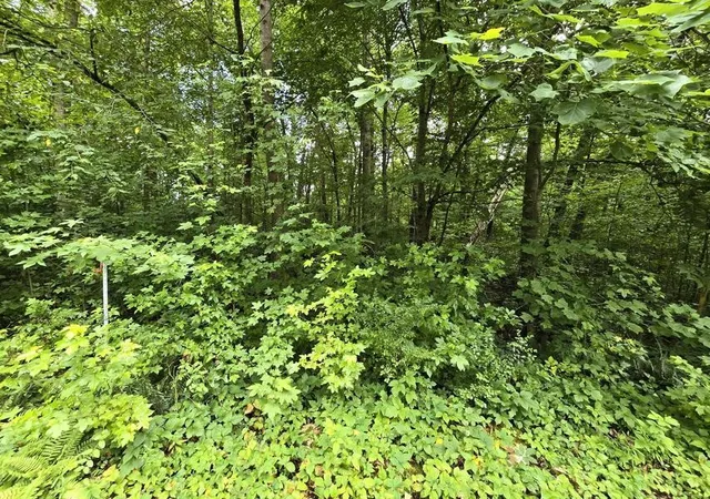 1st image of 133 Lower Brow Road, Dunlap, TN 37327 | MLS# 3315491
