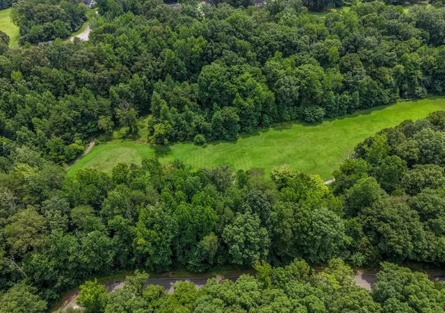 7th image of 133 Lower Brow Road, Dunlap, TN 37327 | MLS# 3315491