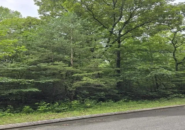 2nd image of 135 Lower Brow Road, Dunlap, TN 37327 | MLS# 3315494