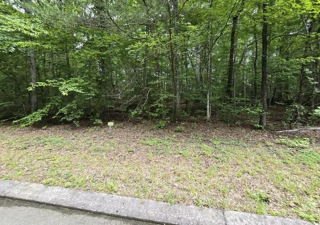 2nd image of 136 Lower Brow Road, Dunlap, TN 37327 | MLS# 3315495