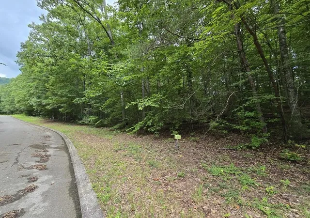 Photo 3 of Land for sale at 136 Lower Brow Rd, Dunlap, TN 37327 | MLS# 3315495 | Listing updated on 2026-08-30