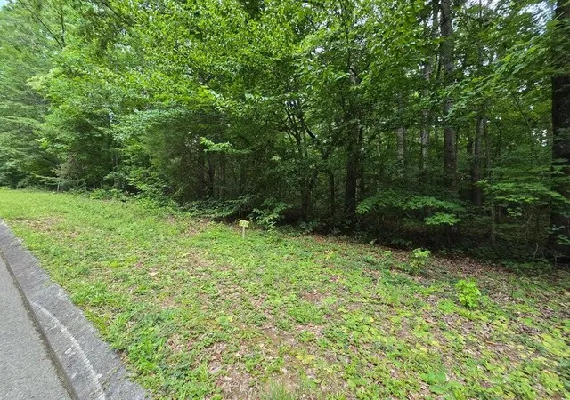 1st image of 138 Lower Brow Road, Dunlap, TN 37327 | MLS# 3315496