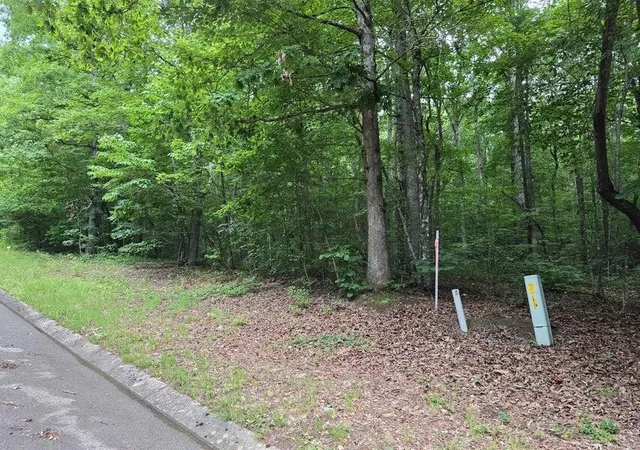 2nd image of 138 Lower Brow Road, Dunlap, TN 37327 | MLS# 3315496