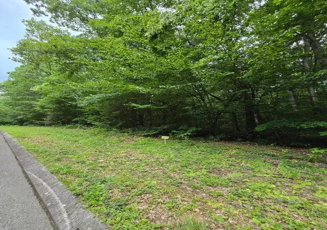 3rd image of 138 Lower Brow Road, Dunlap, TN 37327 | MLS# 3315496