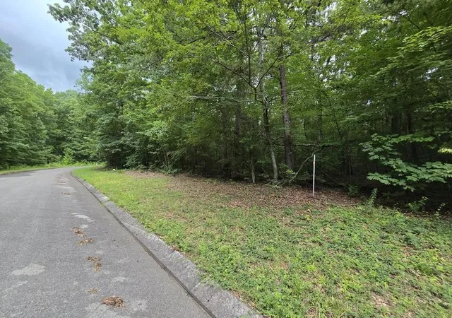 2nd image of 140 Lower Brow Road, Dunlap, TN 37327 | MLS# 3315498