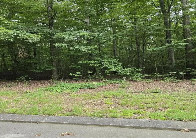 Photo 3 of Land for sale at 140 Lower Brow Rd, Dunlap, TN 37327 | MLS# 3315498 | Listing updated on 2026-08-30