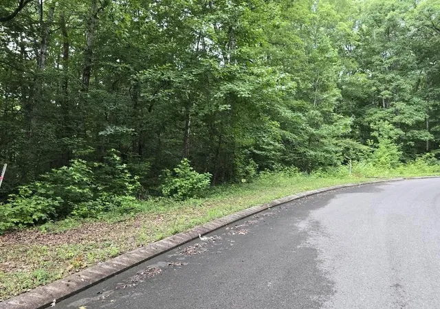 1st image of 141 Lower Brow Road, Dunlap, TN 37327 | MLS# 3315497