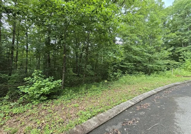 3rd image of 141 Lower Brow Road, Dunlap, TN 37327 | MLS# 3315497