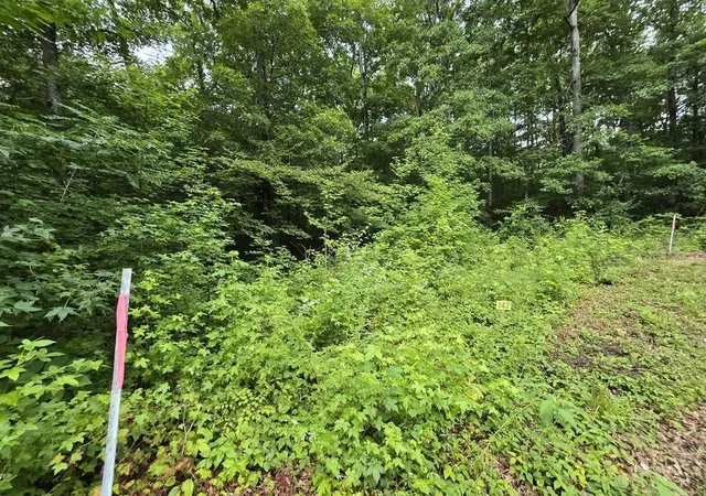 Photo 3 of Land for sale at 142 Lower Brow Rd, Dunlap, TN 37327 | MLS# 3315500 | Listing updated on 2026-08-30