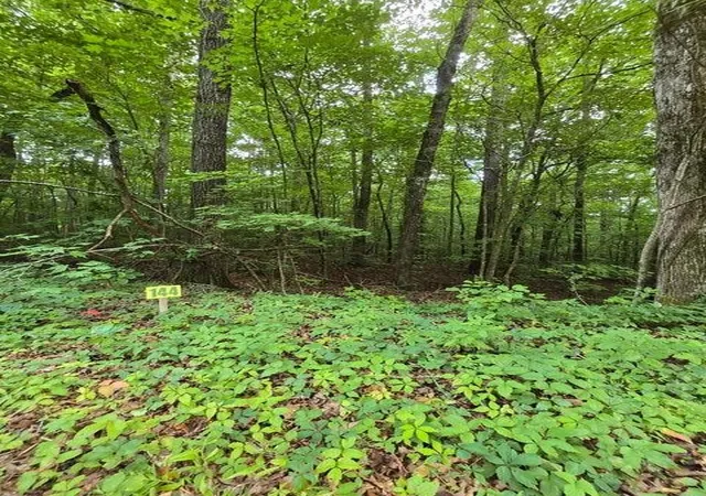 4th image of 144 Lower Brow Road, Dunlap, TN 37327 | MLS# 3315499