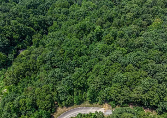 3rd image of 155 Lower Brow Road, Dunlap, TN 37327 | MLS# 3315501