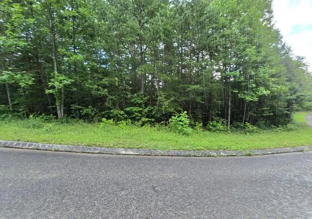 2nd image of 156 Lower Brow Road, Dunlap, TN 37327 | MLS# 3315489