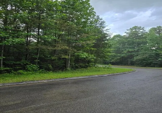 3rd image of 156 Lower Brow Road, Dunlap, TN 37327 | MLS# 3315489